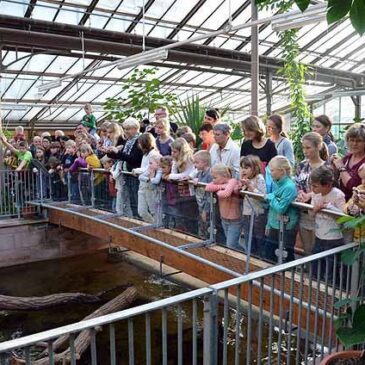 Tierwelt-Erlebnistag in den Gruson-Gewächshäusern / Am 15. Oktober von 14.00 bis 17.00 Uhr