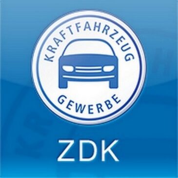 Trotz Zulassungsplus: ZDK sieht keinen Durchbruch bei E-Mobilität – Politik gefordert