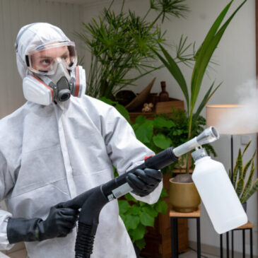 Krimiserie: SOKO Stuttgart – Der Saubermann (ZDF 18:05 – 19:00 Uhr)