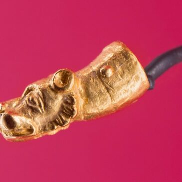 Dommuseum Ottonianum Magdeburg präsentiert mit dem Löwenköpfchen ein bedeutendes Objekt in einer neuen Inszenierung