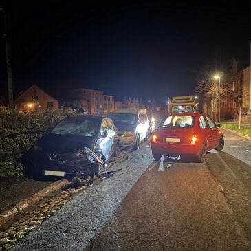 Polizeirevier Harz: Aktuelle Polizeimeldungen