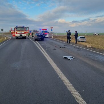 Polizeirevier Harz: Aktuelle Polizeimeldungen