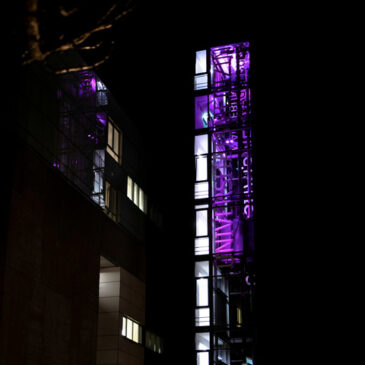 Welt-Pankreaskrebstag am 20. November 2025