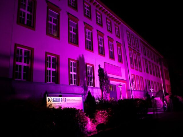 Welt-Frühgeborenen-Tag am 17. November – Universitätsmedizin Magdeburg beleuchtet Frontseite der Universitätsfrauenklinik