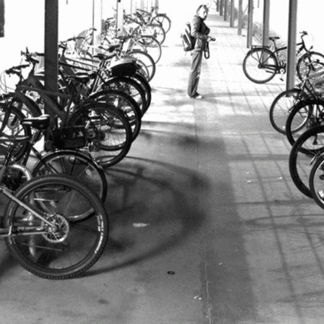 Fahrraddiebstahl in Zielitz: Polizei sucht mit Fotos nach Zeugen