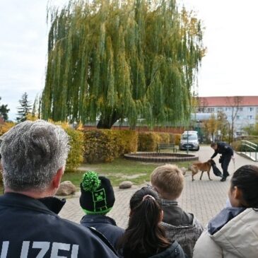 Polizeirevier Stendal: Aktuelle Polizeimeldungen