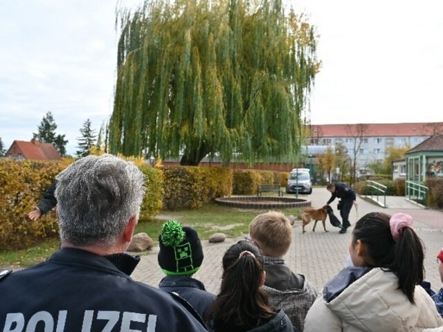 Polizeirevier Stendal: Aktuelle Polizeimeldungen