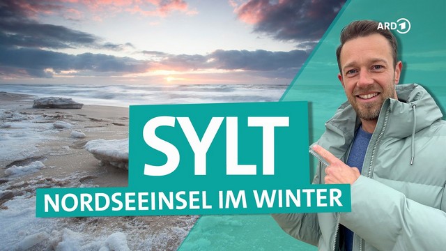 Sylt im Winter: Nordsee, Watt & Kegelrobben | 4k | ARD Reisen