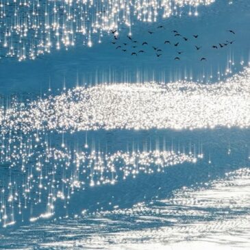 BHZ x Dead Dawg x Longus Mongus x Monk veröffentlichen neue Single “Himmelblau”