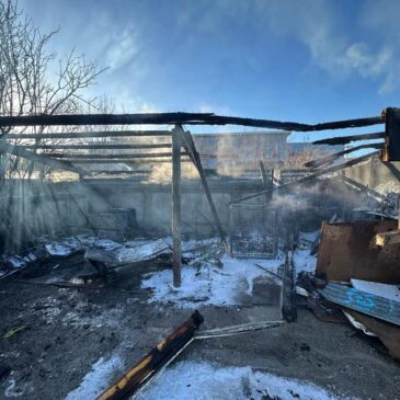 Polizeirevier Harz: Aktuelle Polizeimeldungen