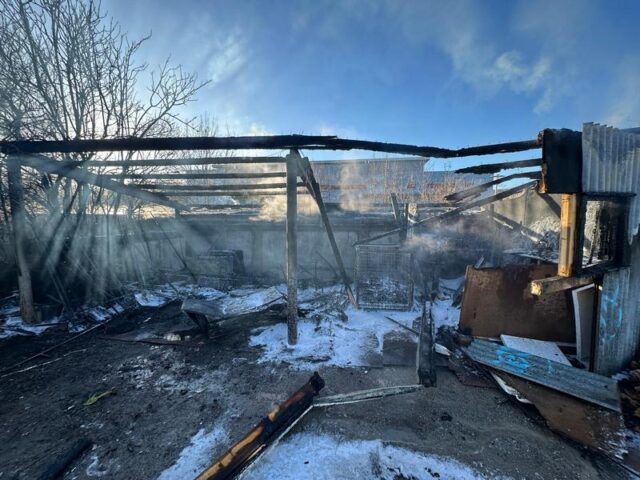 Polizeirevier Harz: Aktuelle Polizeimeldungen