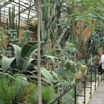 Benefiz-Theateraufführung in den Gruson-Gewächshäusern / Am 11. Januar um 11.00 Uhr