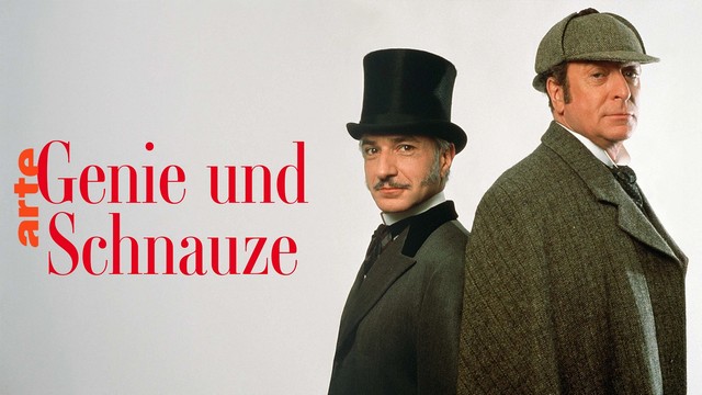 Krimikomödie: Genie und Schnauze (Arte  20:15 – 21:55 Uhr)