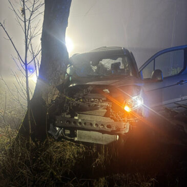 Polizeirevier Harz: Aktuelle Polizeimeldungen