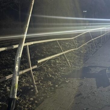 Polizeirevier Harz: Aktuelle Polizeimeldungen