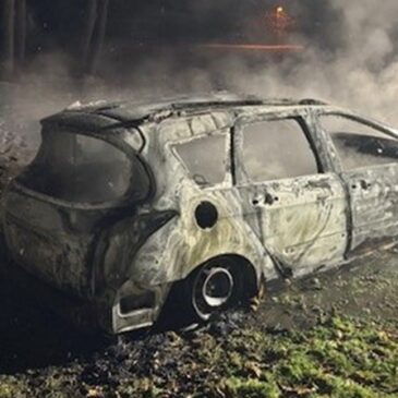 Polizeirevier Harz: Aktuelle Polizeimeldungen