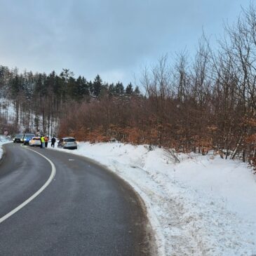 L239: Pkw kommt von Fahrbahn ab       