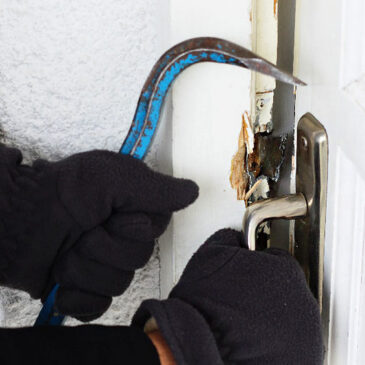 Neue Neustadt: Vermehrte Einbrüche in Gartenlauben