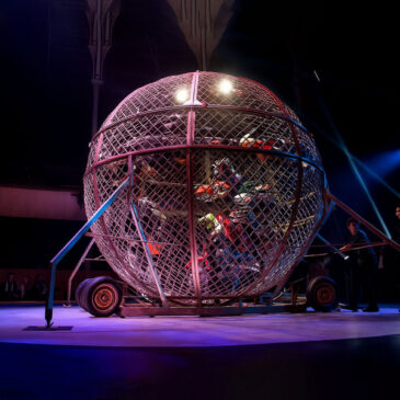 Weltmeister Luc Ackermann führt heute das  Staraufgebot zur Night of Freestyle 2026 in Magdeburg an
