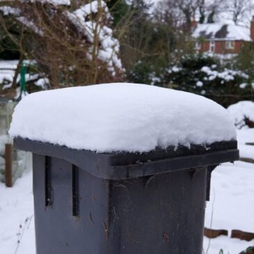 Folgen des Sturmtiefs „Elli“ / Abfallentsorgung teilweise mit Einschränkungen