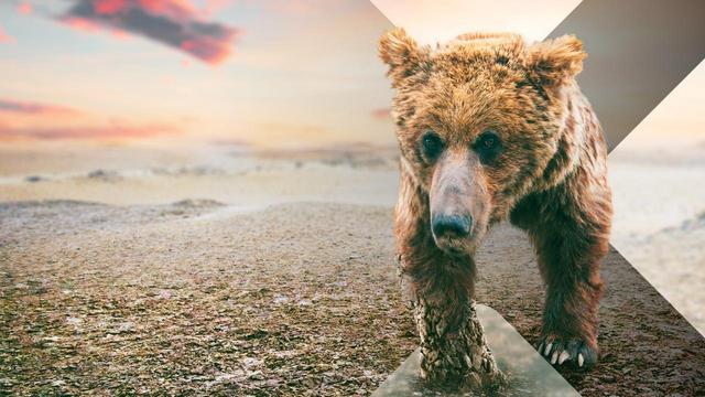 Terra X Doku: Asien – Wilde Wüsten (ZDF  19:30 – 20:15 Uhr)