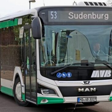 Ab heute: Umleitung auf mehreren Buslinien