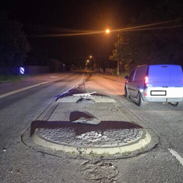 Autofahrer muss Tier ausweichen und kracht in Verkehrsinsel