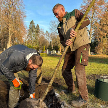 „Mein Baum für Magdeburg“: 336 Pflanzungen im Jubiläumsjahr 2025 / Neue Standorte für diesjährige Pflanzsaison veröffentlicht