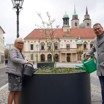 Mehr Aufenthaltsqualität für den Alten Markt: Acht neue Pflanzkübel aufgestellt / Begrünung und Gestaltung