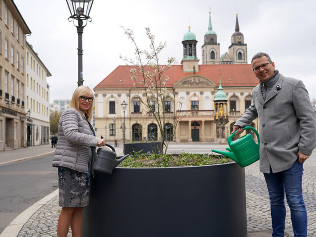 Mehr Aufenthaltsqualität für den Alten Markt: Acht neue Pflanzkübel aufgestellt / Begrünung und Gestaltung