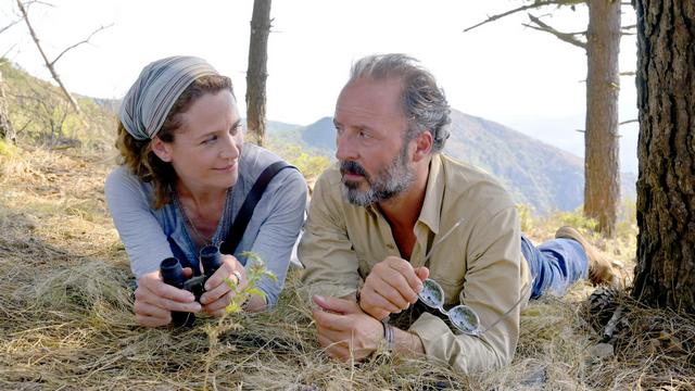 💘 Herzkino am Sonntag: Ein Sommer auf Elba (ZDF  20:15 – 21:45 Uhr)