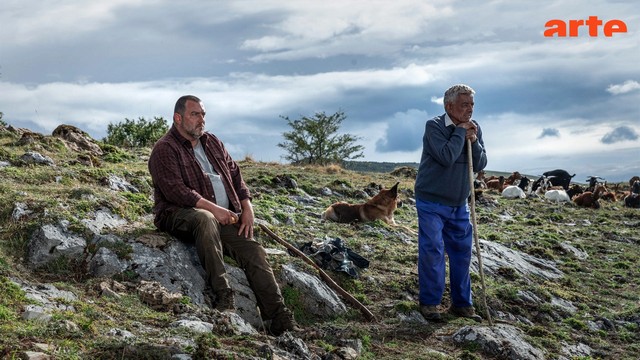 Thriller-Drama: Wie wilde Tiere (Arte  21:45 – 00:00 Uhr)