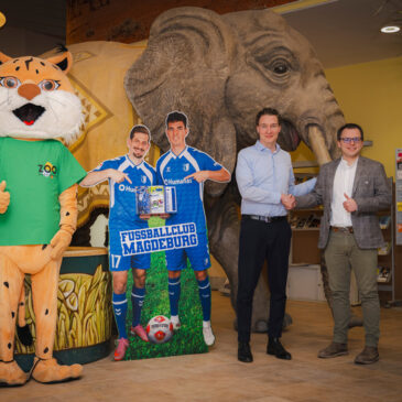 Zoo Magdeburg wird Partner der Blau-Weißen