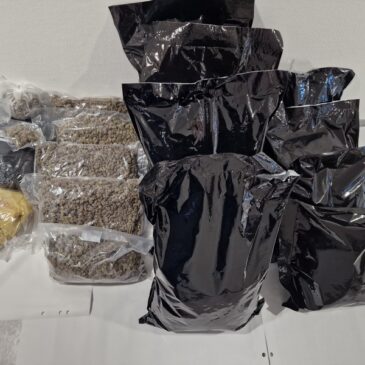 Bei Routinekontrolle in Magdeburg: Polizei findet jede Menge Drogen