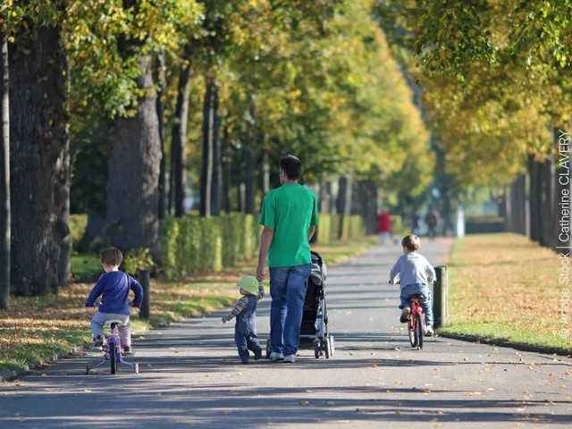 ifo Institut: Wohlstand in Deutschland seit 2020 unter Druck