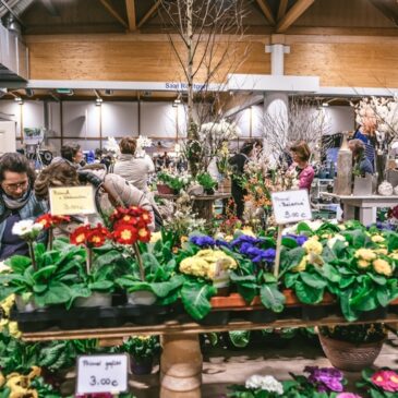 Grüne Inspirationen und botanische Entdeckungen auf der Messe Gartenträume Magdeburg