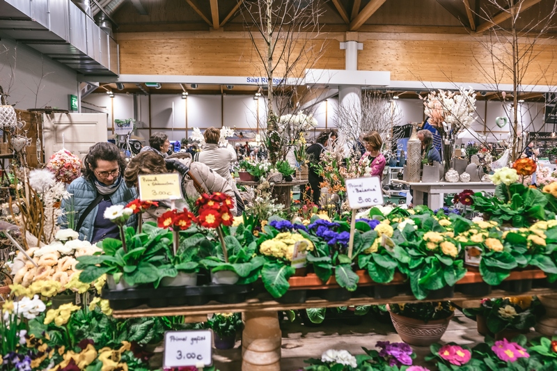 Grüne Inspirationen und botanische Entdeckungen auf der Messe Gartenträume Magdeburg