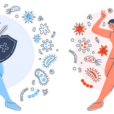 Heute findet erneut der Medizinische Sonntag statt / Das Thema lautet: „Schwaches Immunsystem – wie kann geholfen werden?“