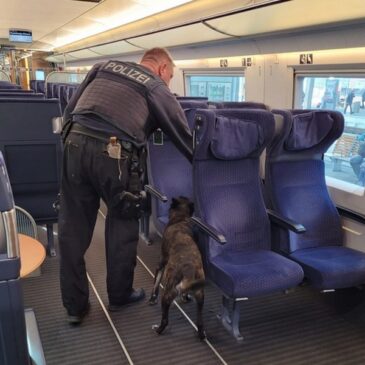 Hauptbahnhof Halle/Saale: Herrenloser Koffer führt zu Einsatz des Sprengstoffspürhundes