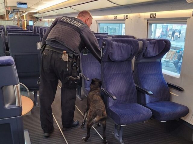 Hauptbahnhof Halle/Saale: Herrenloser Koffer führt zu Einsatz des Sprengstoffspürhundes