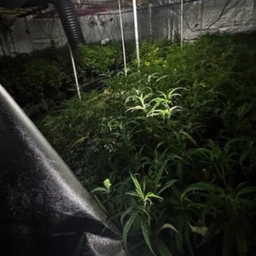 Polizeirevier Börde: Aktuelle Polizeimeldungen