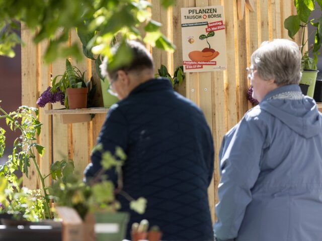 Ausflugstipp: Tauschen, teilen, feilschen – Haldensleben lädt heute Hobbygärtner zur Pflanzentauschbörse ein