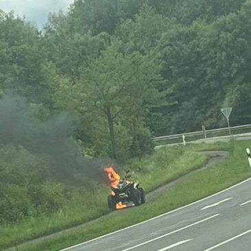 Polizeirevier Harz: Aktuelle Polizeimeldungen