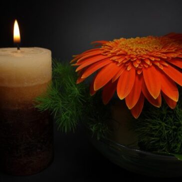 Zum Tod von Bundestagspräsidentin a.D., Frau Professorin Dr. Rita Süssmuth – Bundestagspräsidentin Julia Klöckner würdigt „eine der bedeutendsten Politikerinnen der Bundesrepublik“