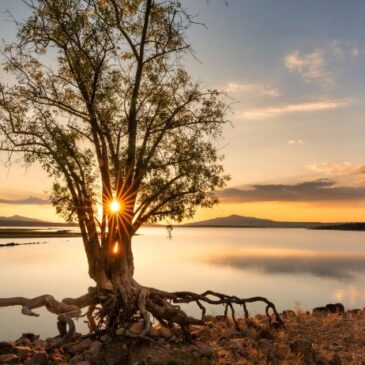 Wetter in Deutschland: Heute teils über 20 Grad möglich