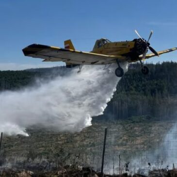 Waldbrand im Harz: Ministerpräsident Sven Schulze besucht Einsatzkräfte vor Ort