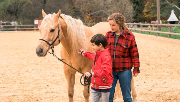Pferdefilm: Reiterhof Wildenstein – Der Junge und das Pferd (Das Erste  15:30 – 17:00 Uhr)