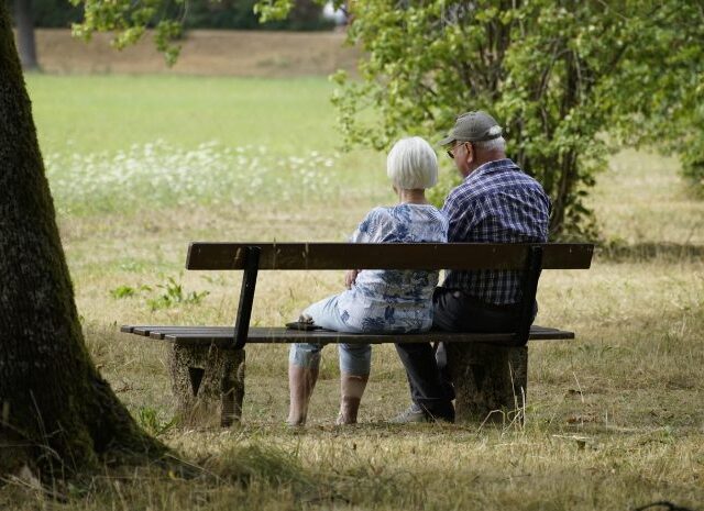 ifo Institut: Nur jedes dritte Unternehmen befürwortet Aktivrente
