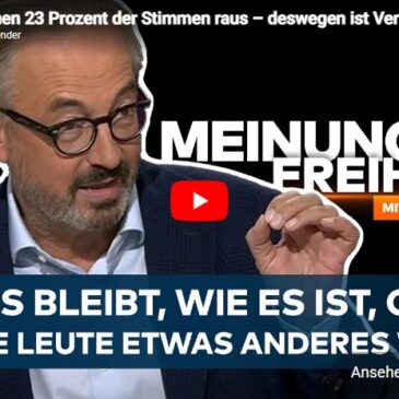 AFD: „Rechnen 23 Prozent der Stimmen raus – deswegen ist Verzweiflung in Deutschland eingekehrt!“