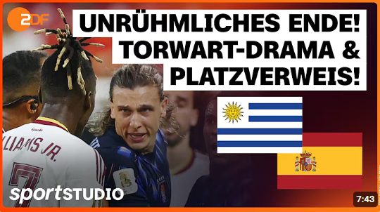 Fußball-WM: Uruguay – Spanien 0:1
